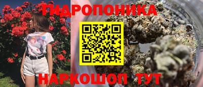 прущие крисы Тверь