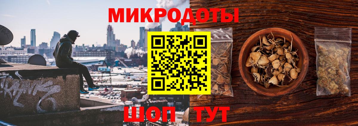Галлюциногенные грибы Psilocybine cubensis Бор