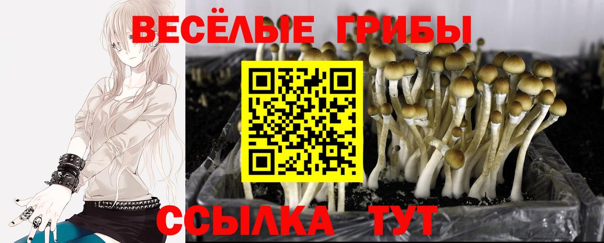 Псилоцибиновые грибы ЛСД  Вход с VPN  Псилоцибиновые грибы ЛСД  Бор 